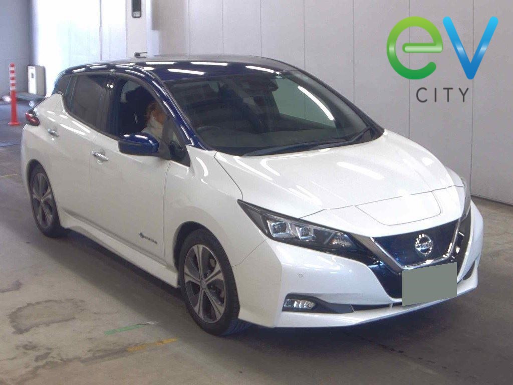 2018 Nissan LEAF