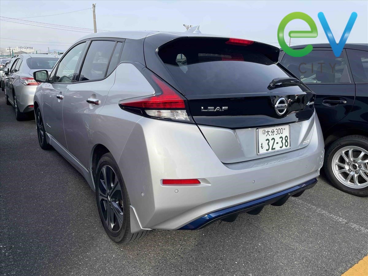 2019 Nissan LEAF