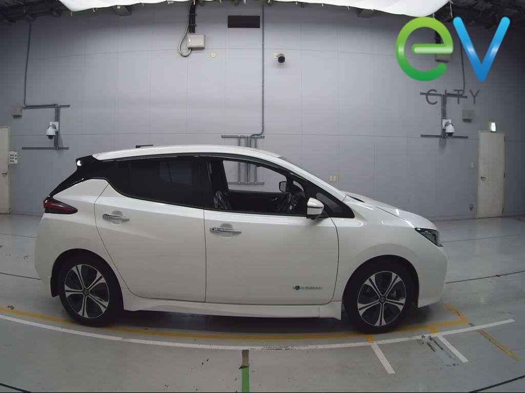 2019 Nissan LEAF