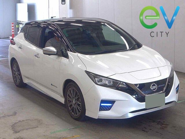 2019 Nissan LEAF