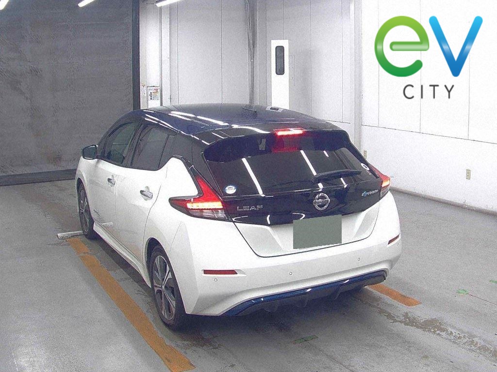 2019 Nissan LEAF