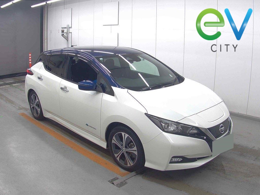 2019 Nissan LEAF