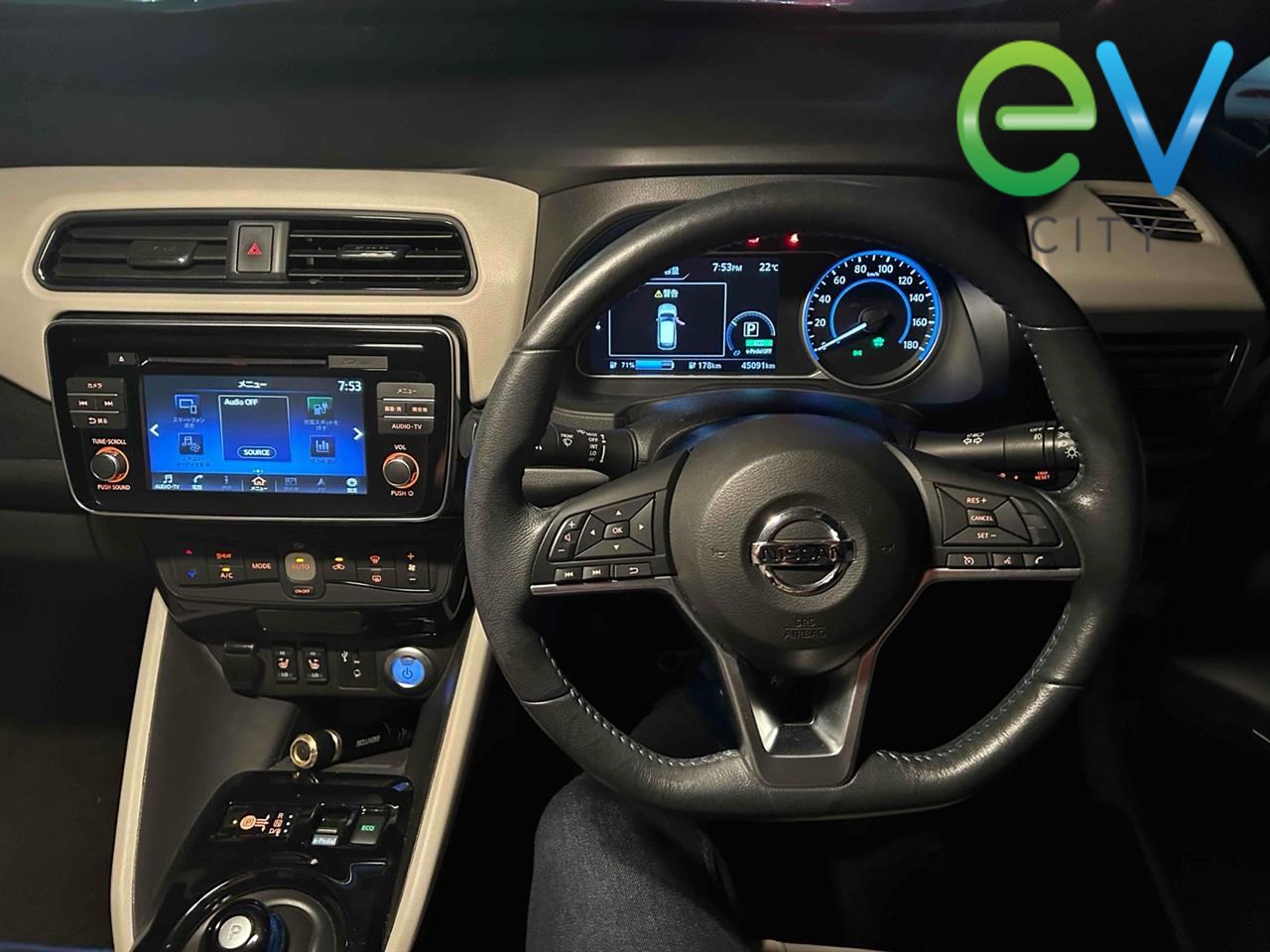 2019 Nissan LEAF