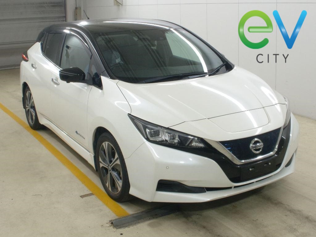 2019 Nissan LEAF