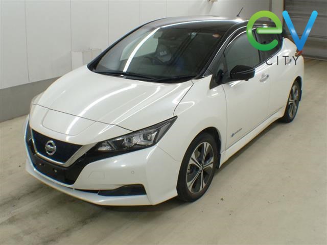 2019 Nissan LEAF