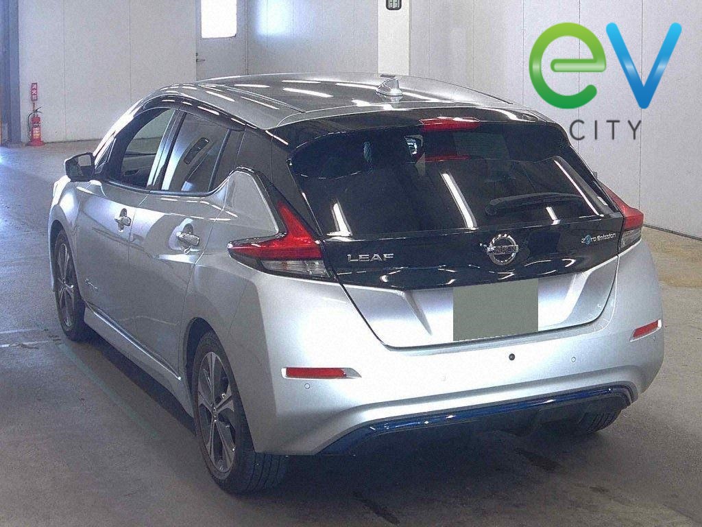 2020 Nissan LEAF