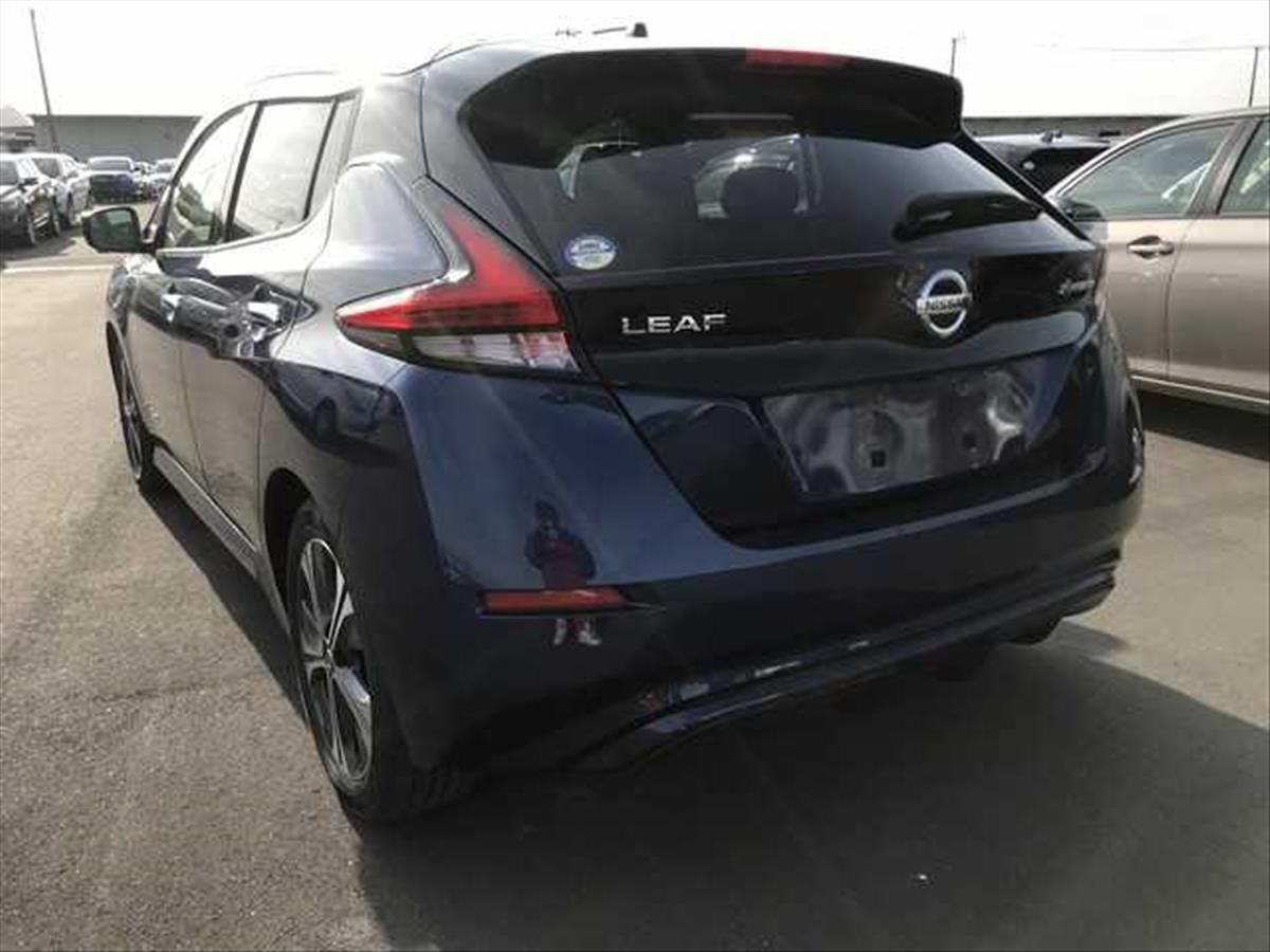 2019 Nissan LEAF