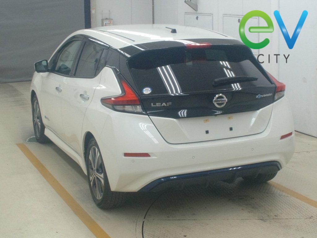 2019 Nissan LEAF