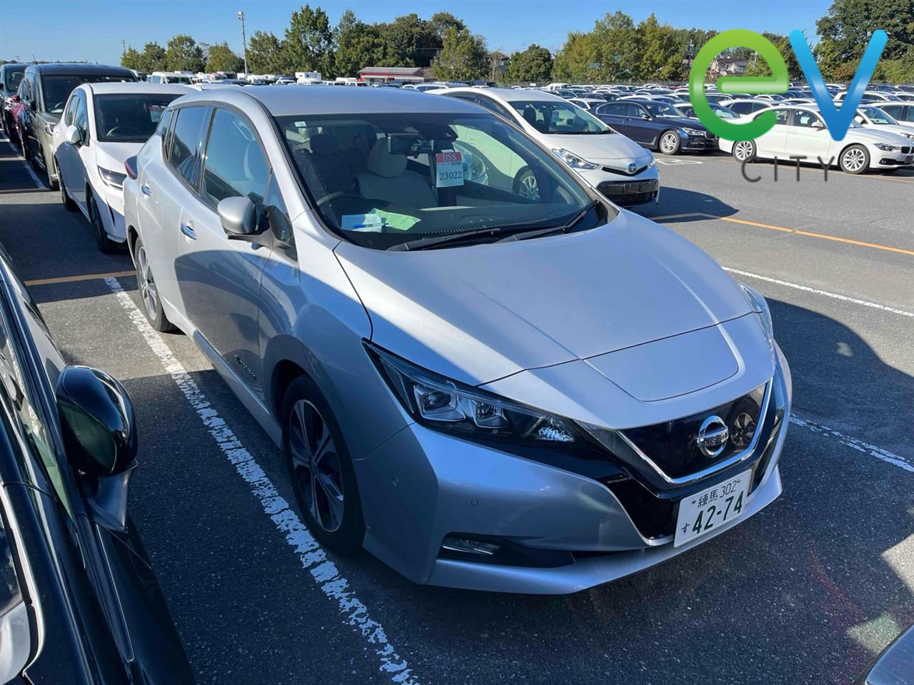 2020 Nissan LEAF