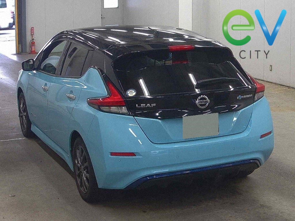 2019 Nissan LEAF