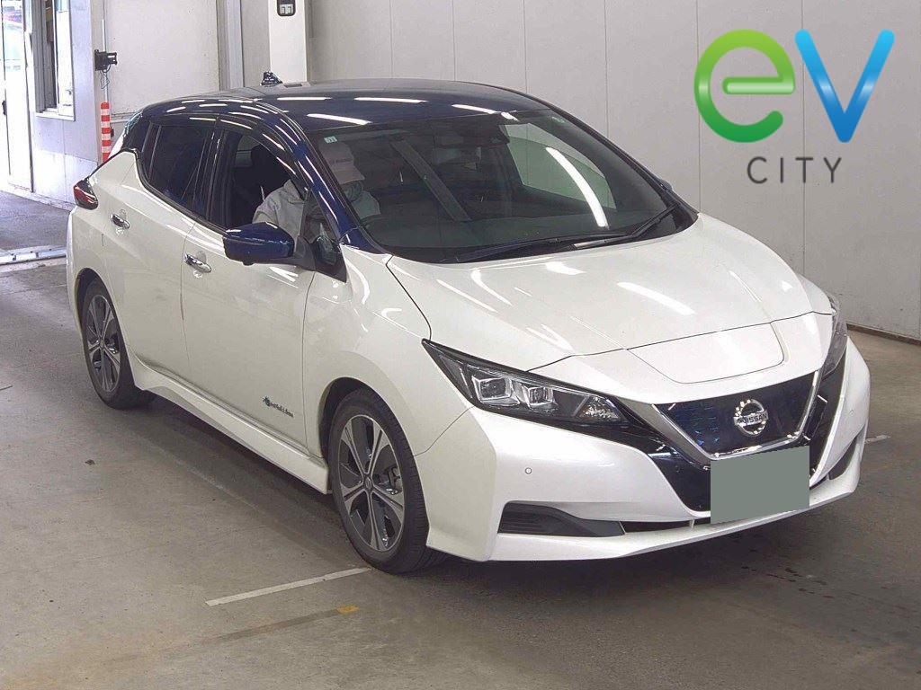 2020 Nissan LEAF