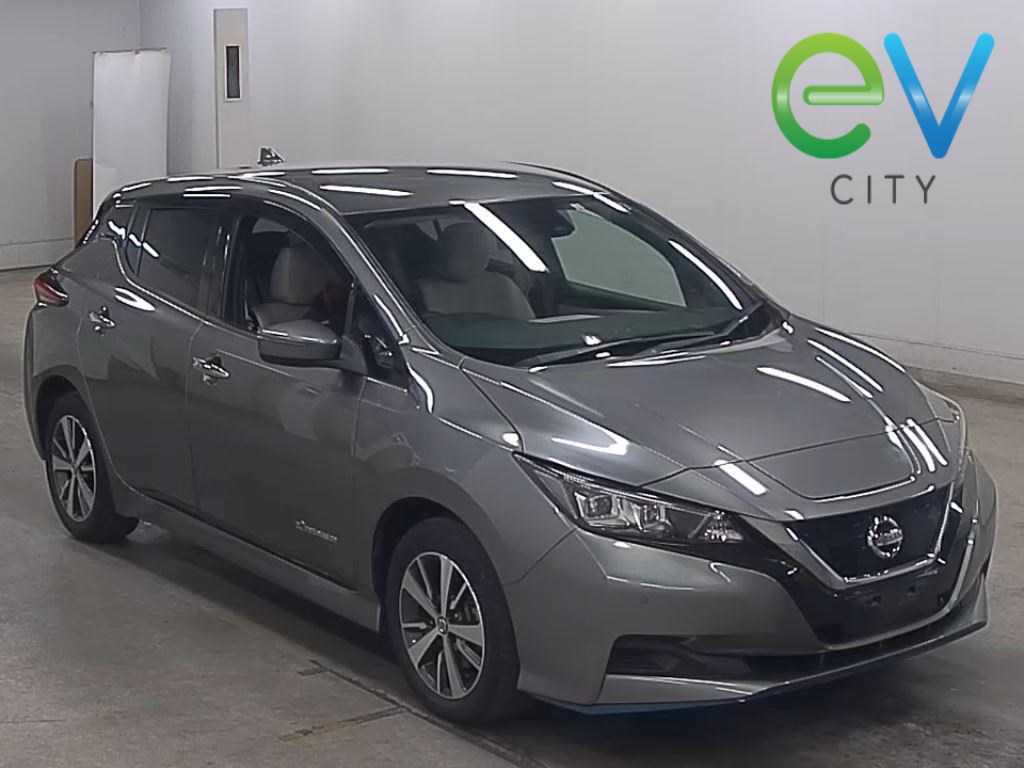 2020 Nissan LEAF