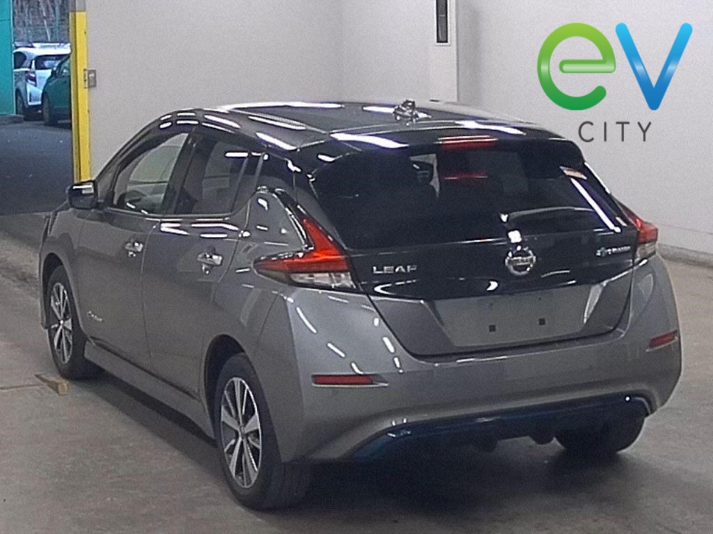 2020 Nissan LEAF