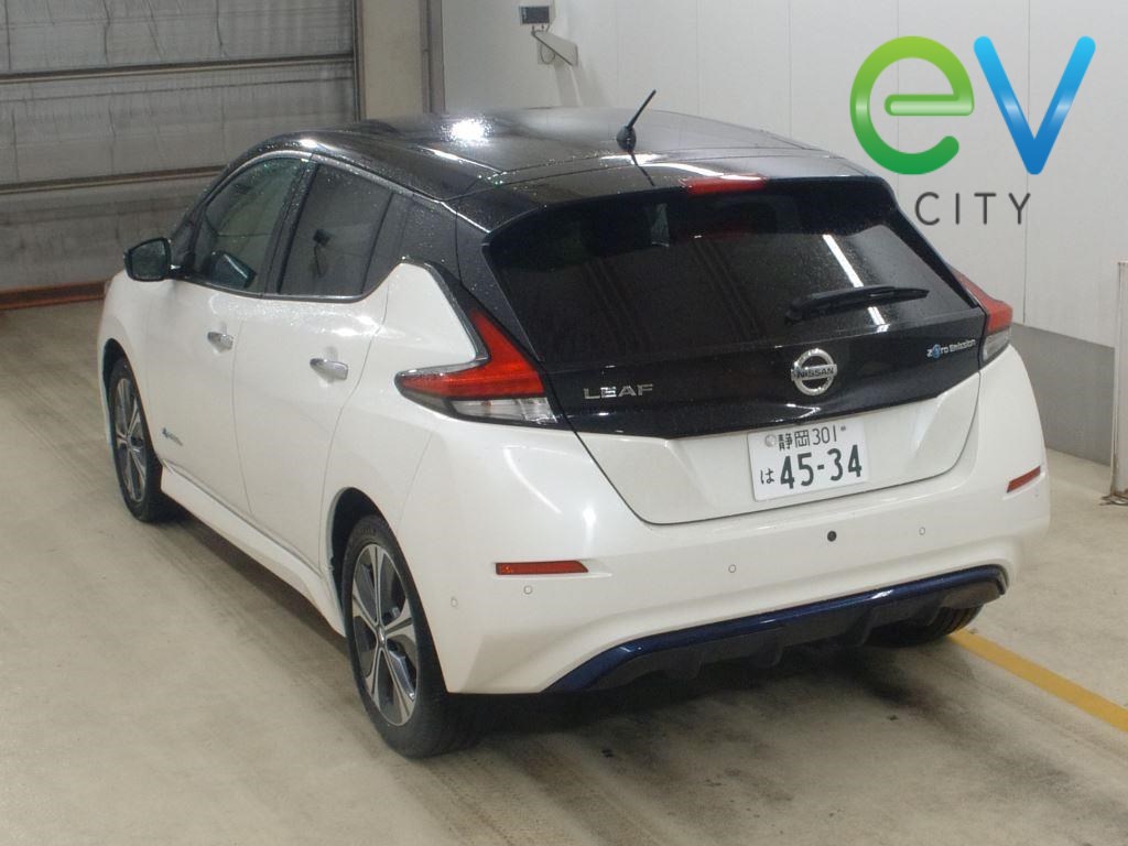 2020 Nissan LEAF