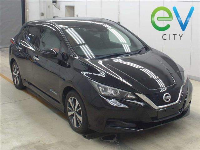 2019 Nissan LEAF