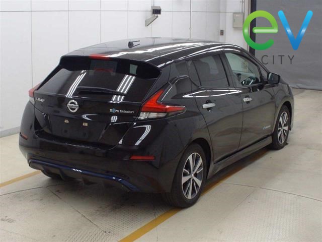 2019 Nissan LEAF