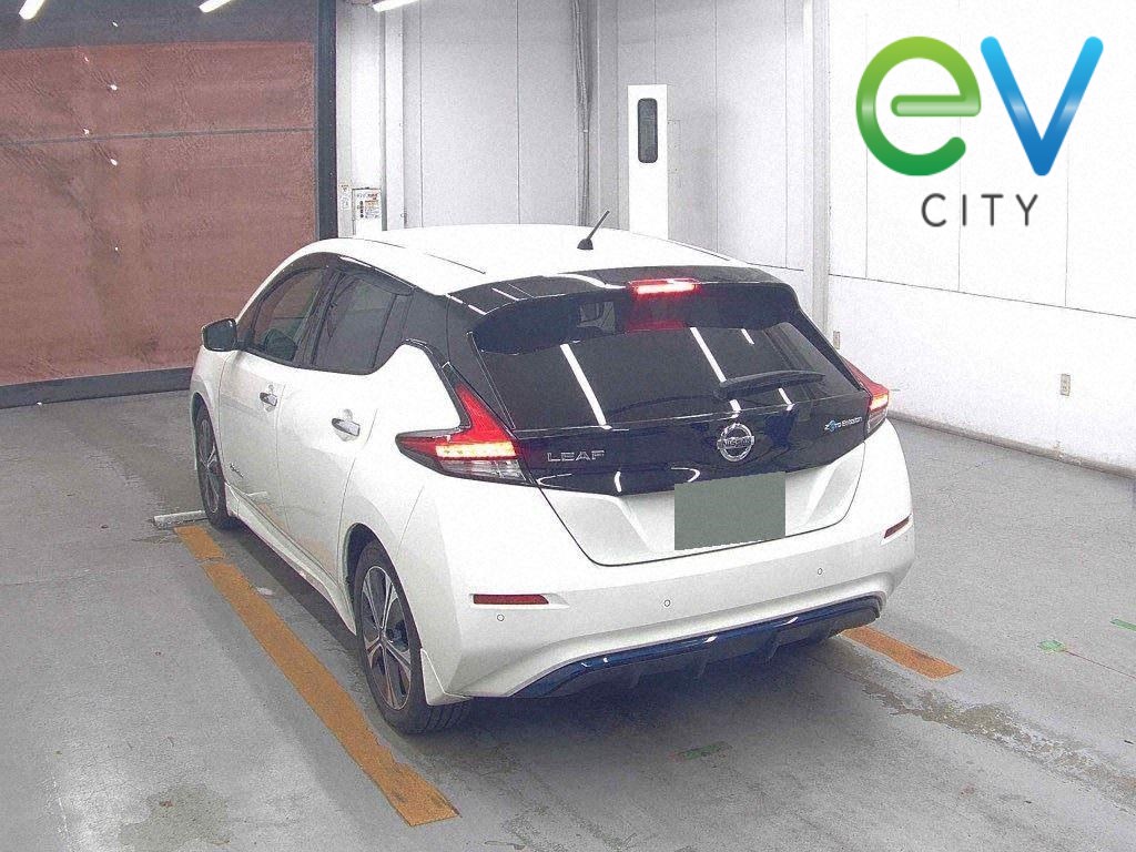 2019 Nissan LEAF